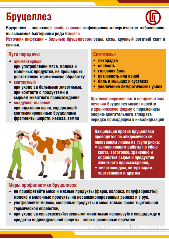 Осторожно бруцеллез.