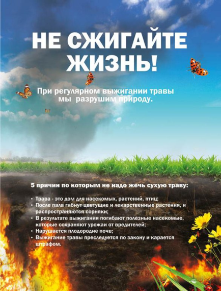 ВНИМАНИЕ!! НЕ СЖИГАЙТЕ ТРАВУ!!.